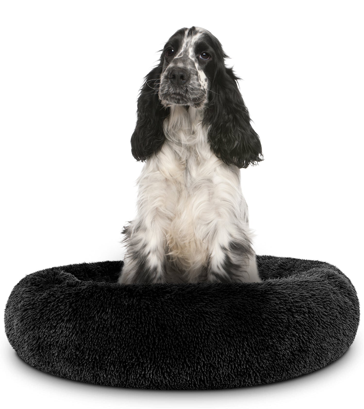 Donut Dog Bed