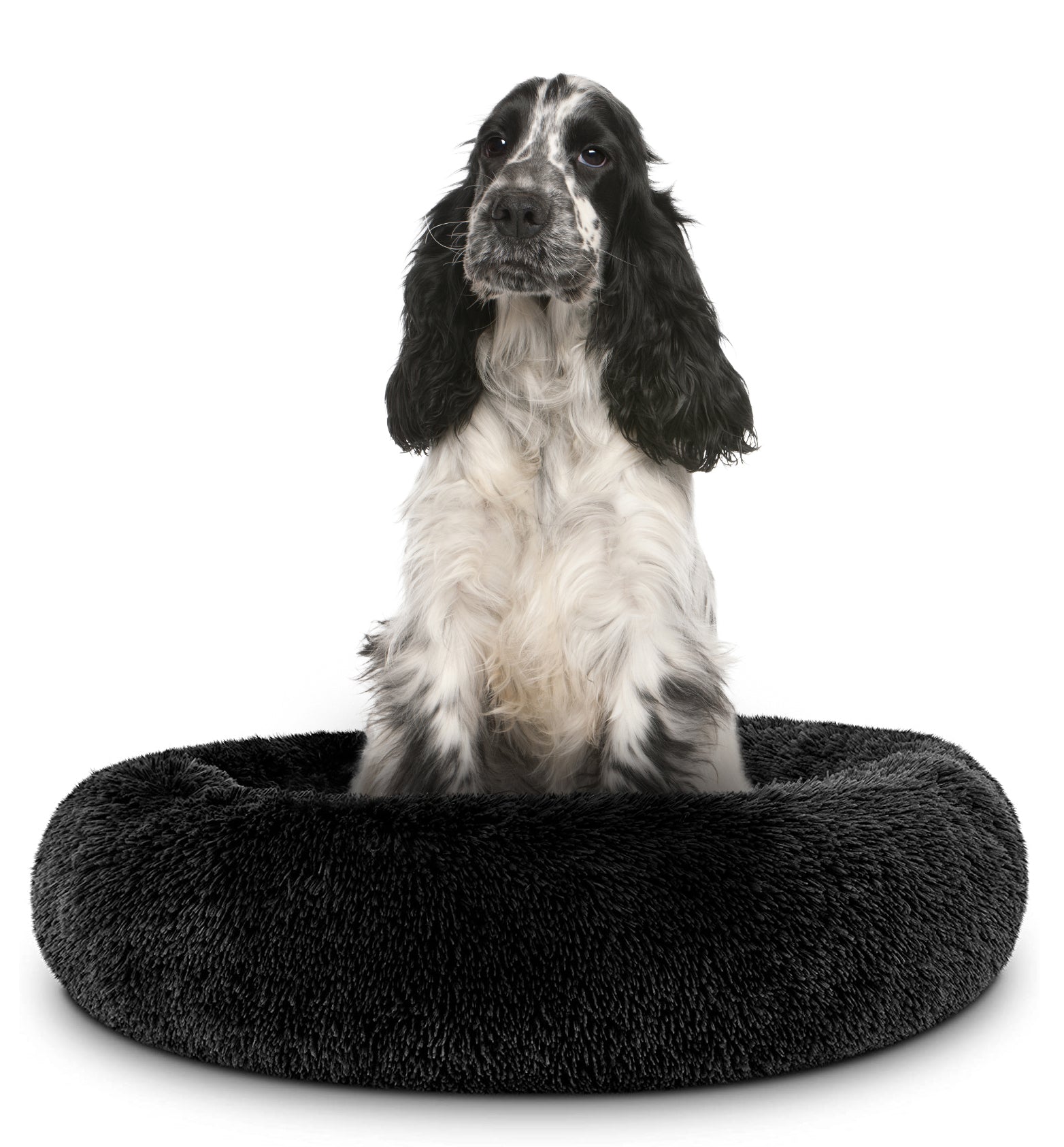 Donut Dog Bed