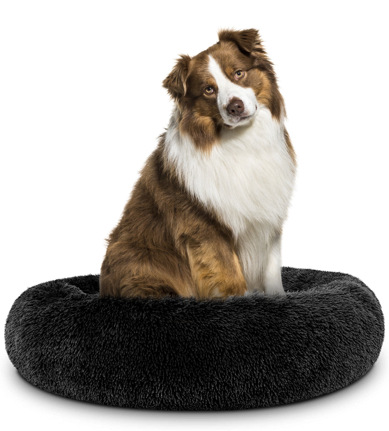 Donut Dog Bed