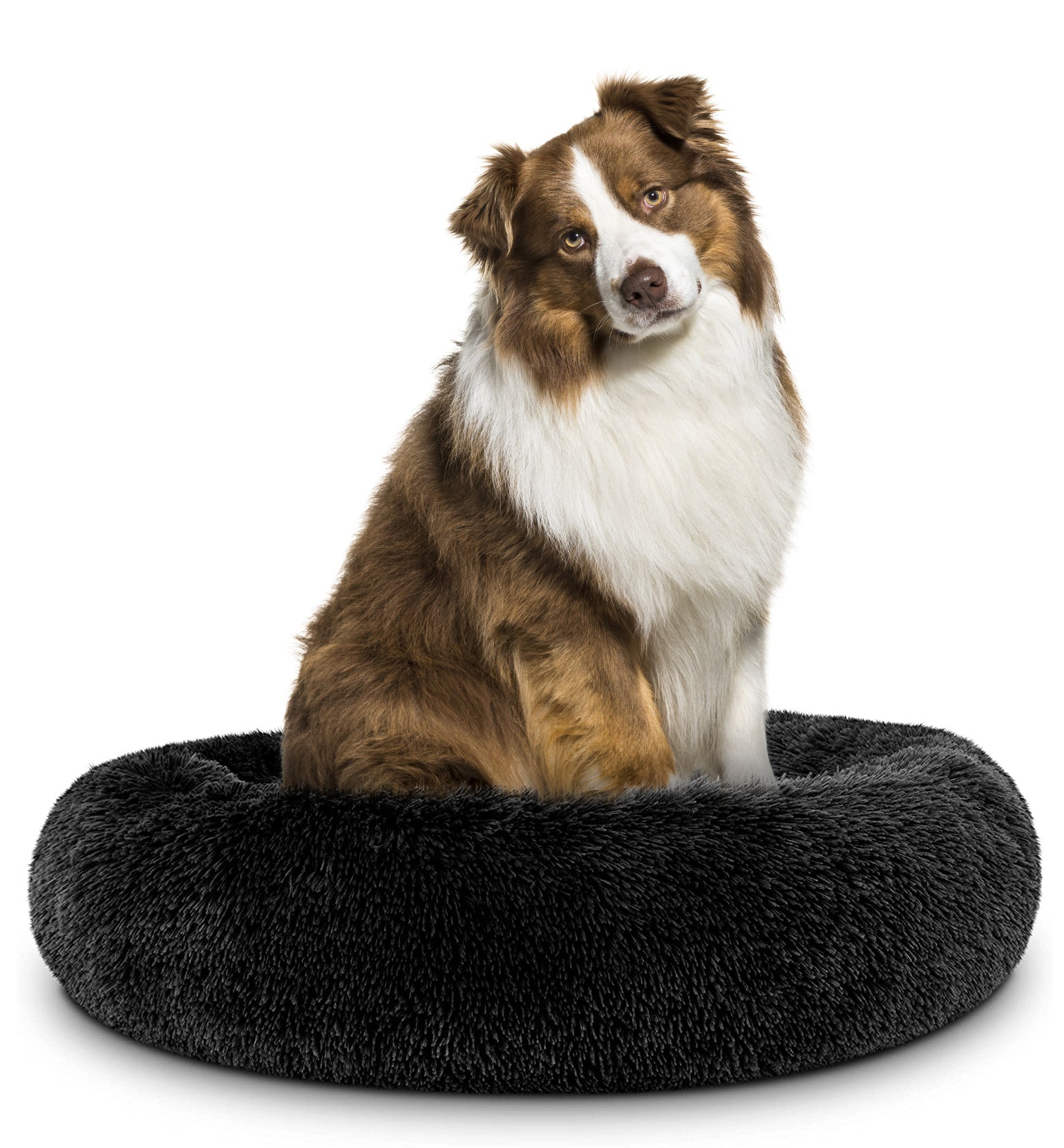 Donut Dog Bed