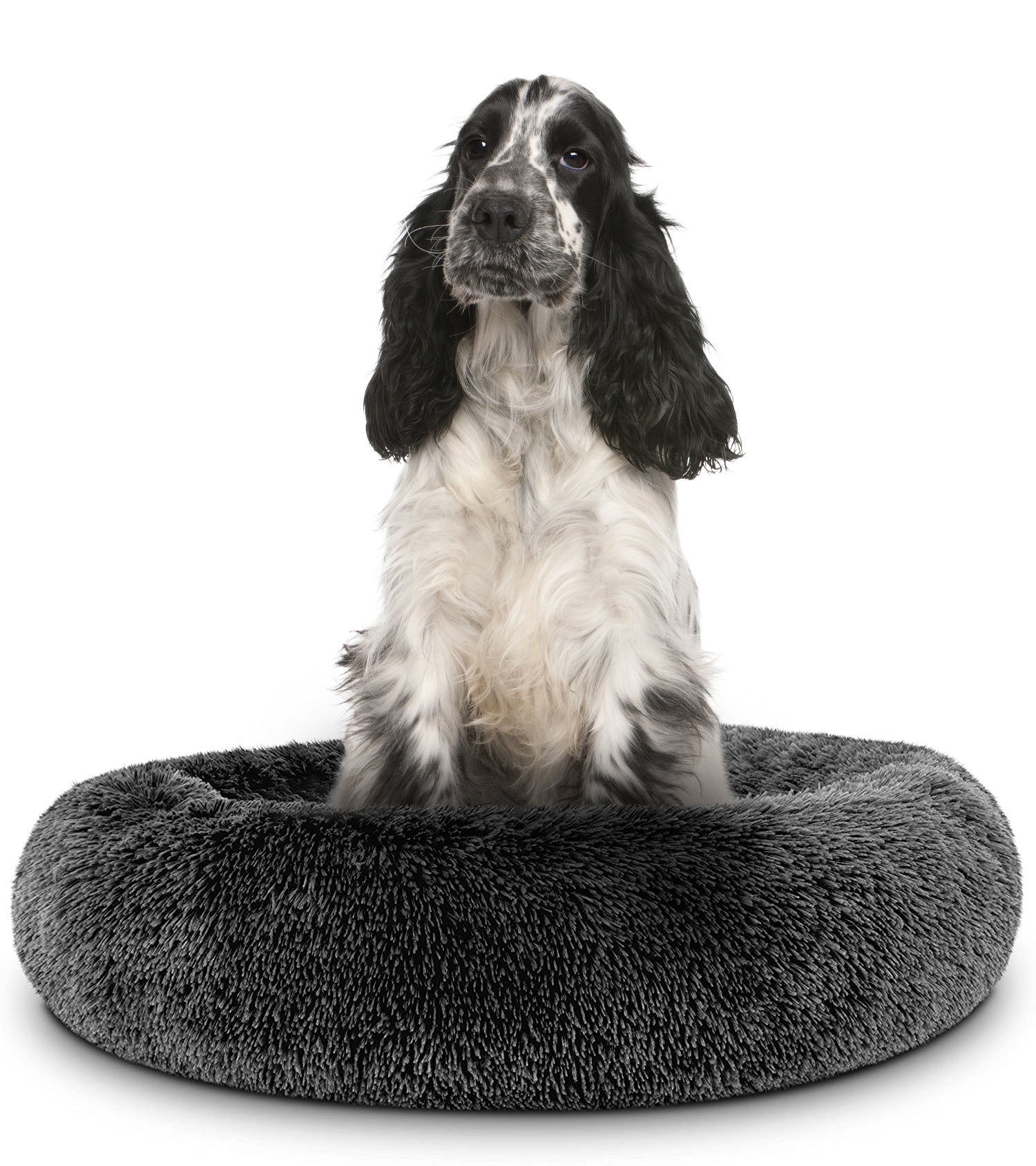 Donut Dog Bed