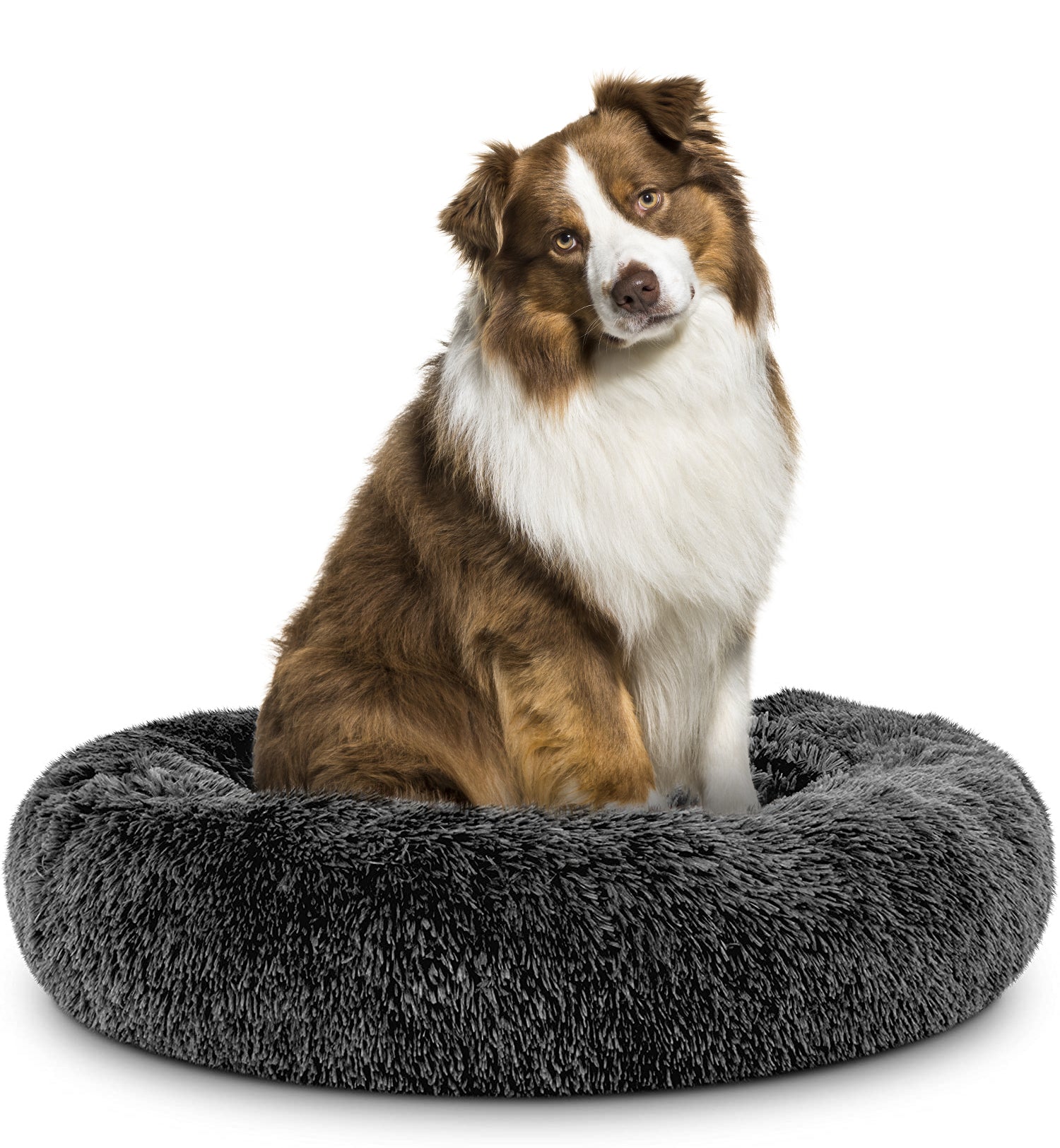 Donut Dog Bed