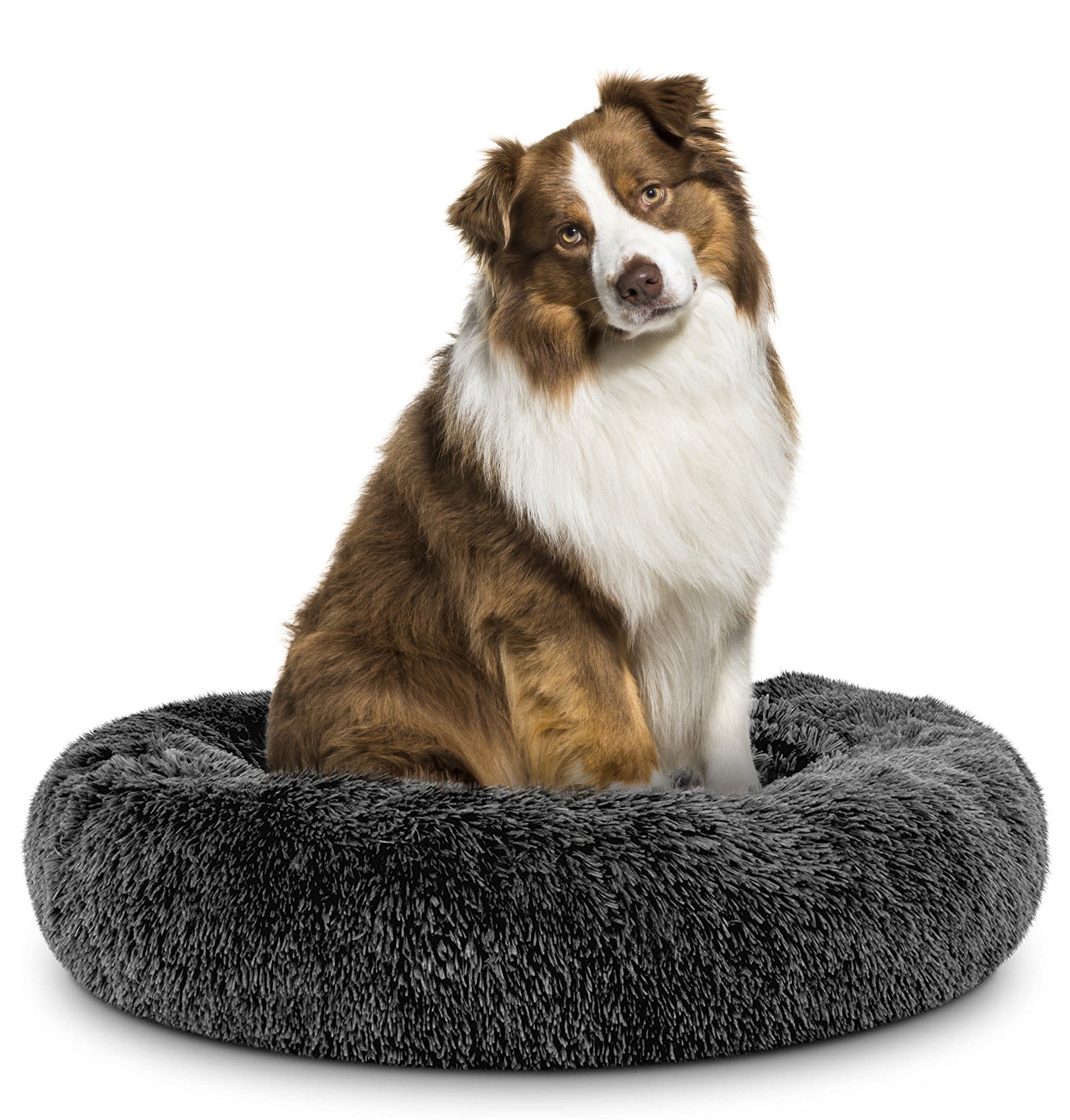 Donut Dog Bed