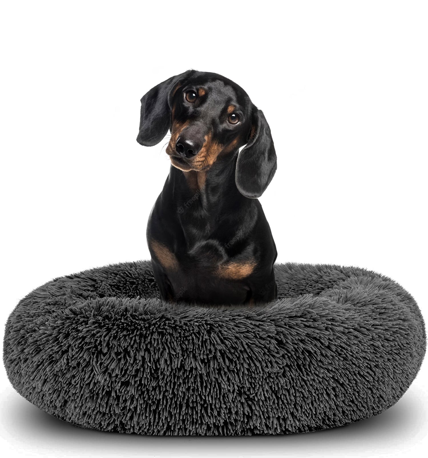 Donut Dog Bed