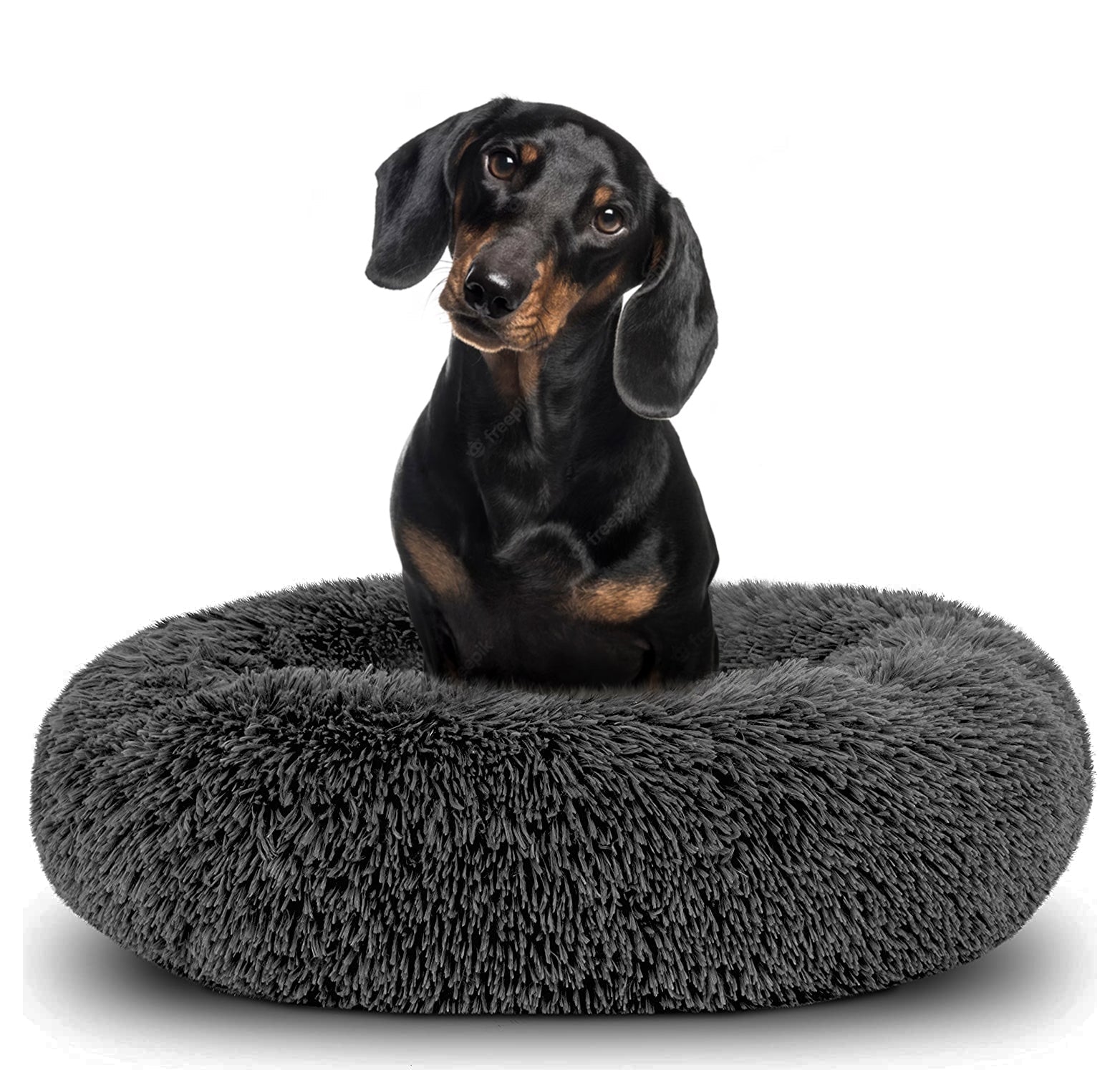 Donut Dog Bed