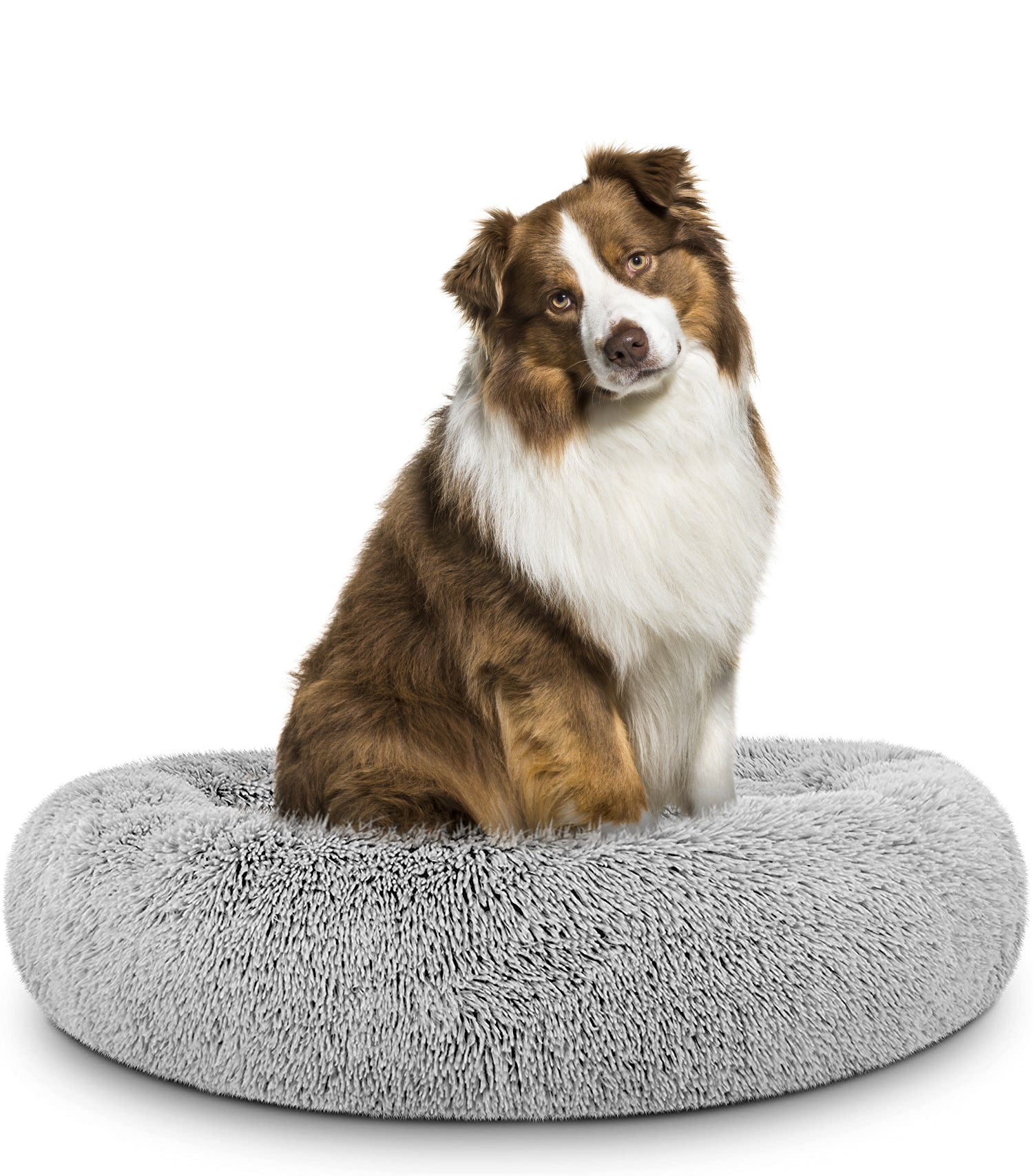 Donut Dog Bed