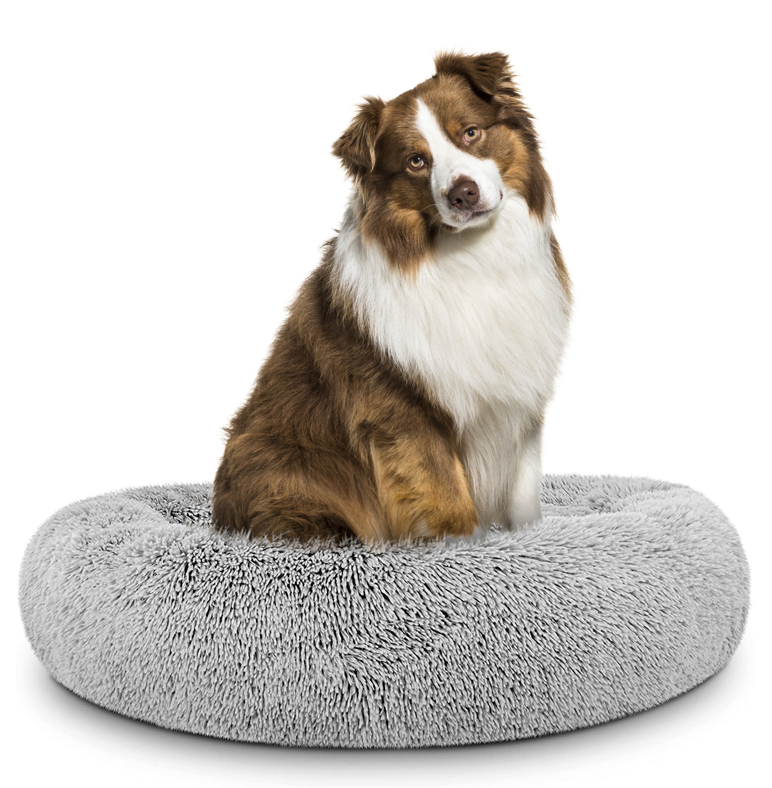 Donut Dog Bed