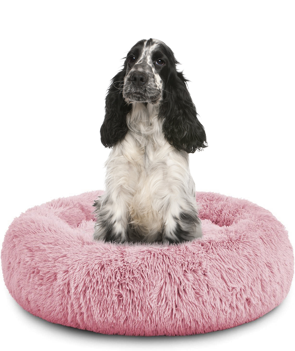 Donut Dog Bed