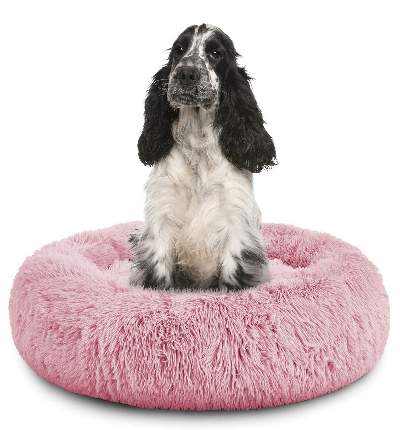 Donut Dog Bed