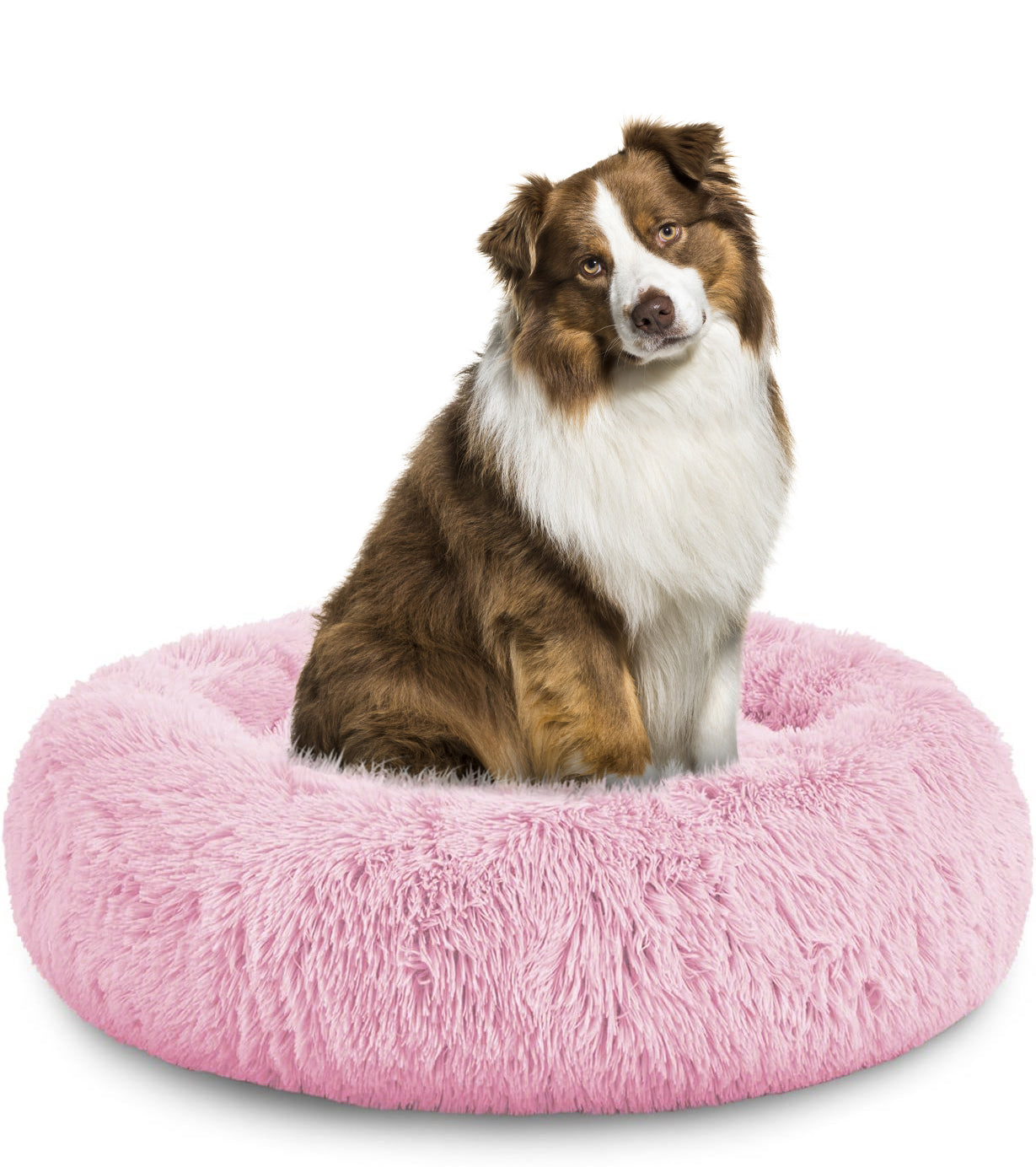 Donut Dog Bed