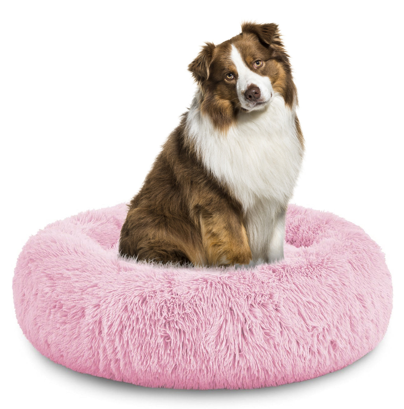 Donut Dog Bed