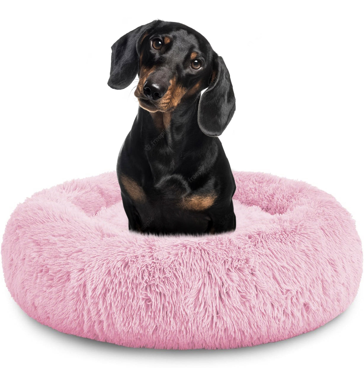 Donut Dog Bed