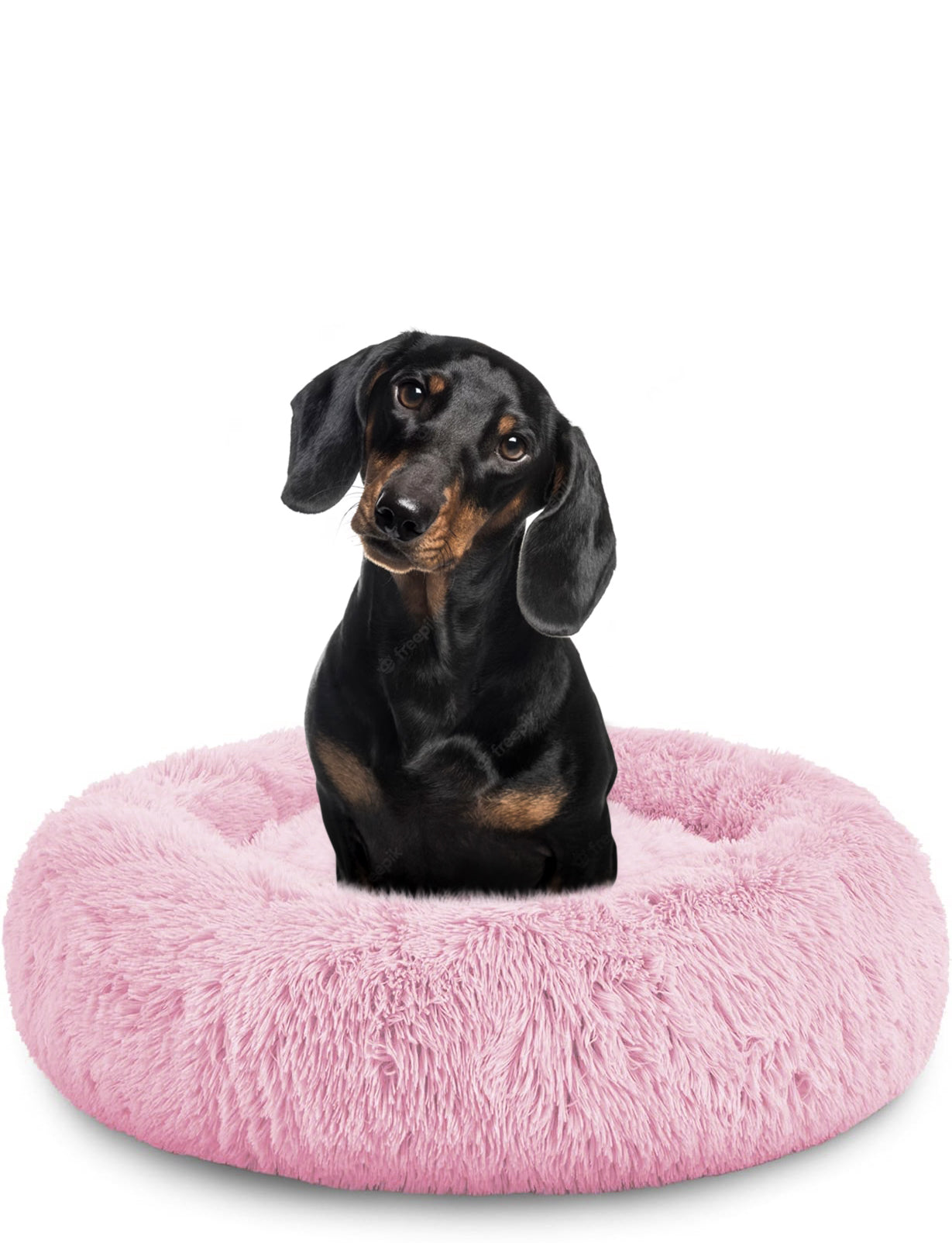 Donut Dog Bed